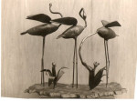 Flamingo's (trio)